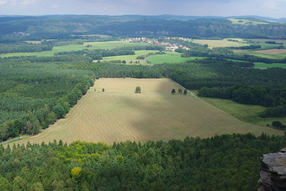 Feld zwischen Wäldern von Heiko Reimann 