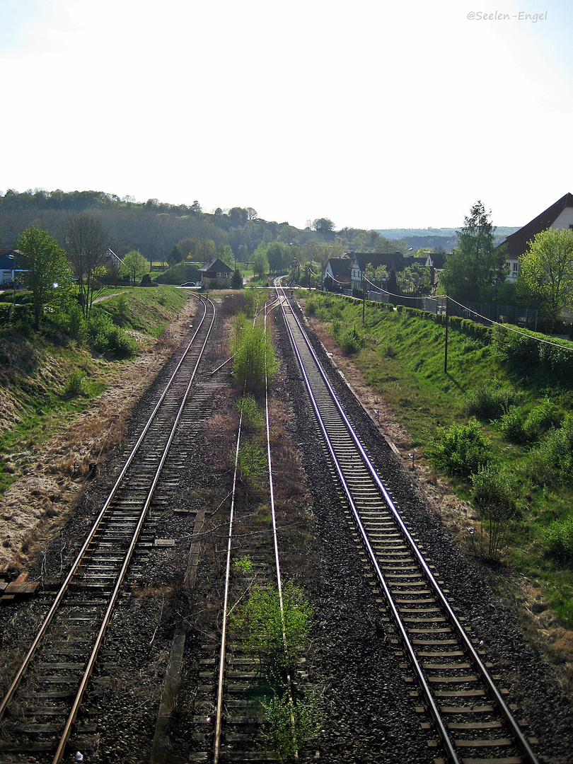 Feldabahn-Schienen ...