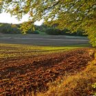 Feldabend im Herbst