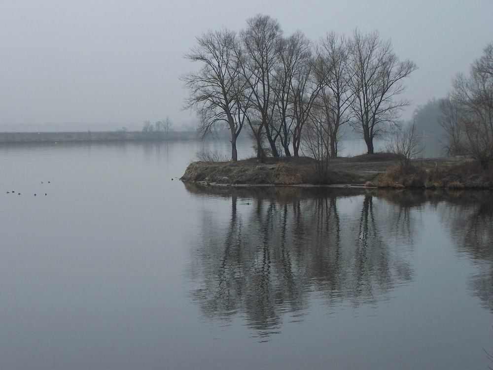 Feldaist zur Donau an einem Februartag