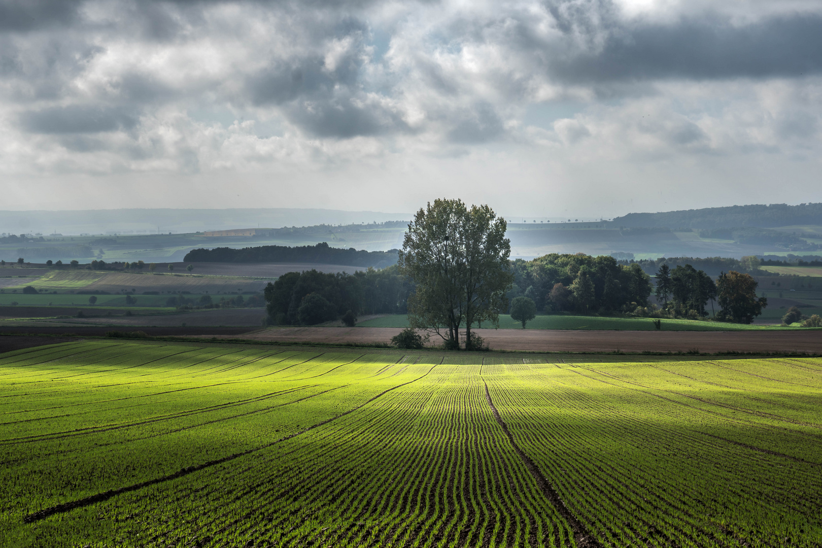 Feldansicht