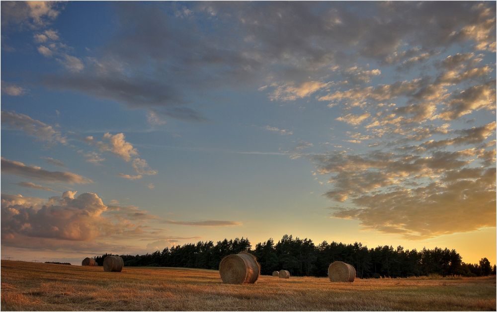 Feldansichten