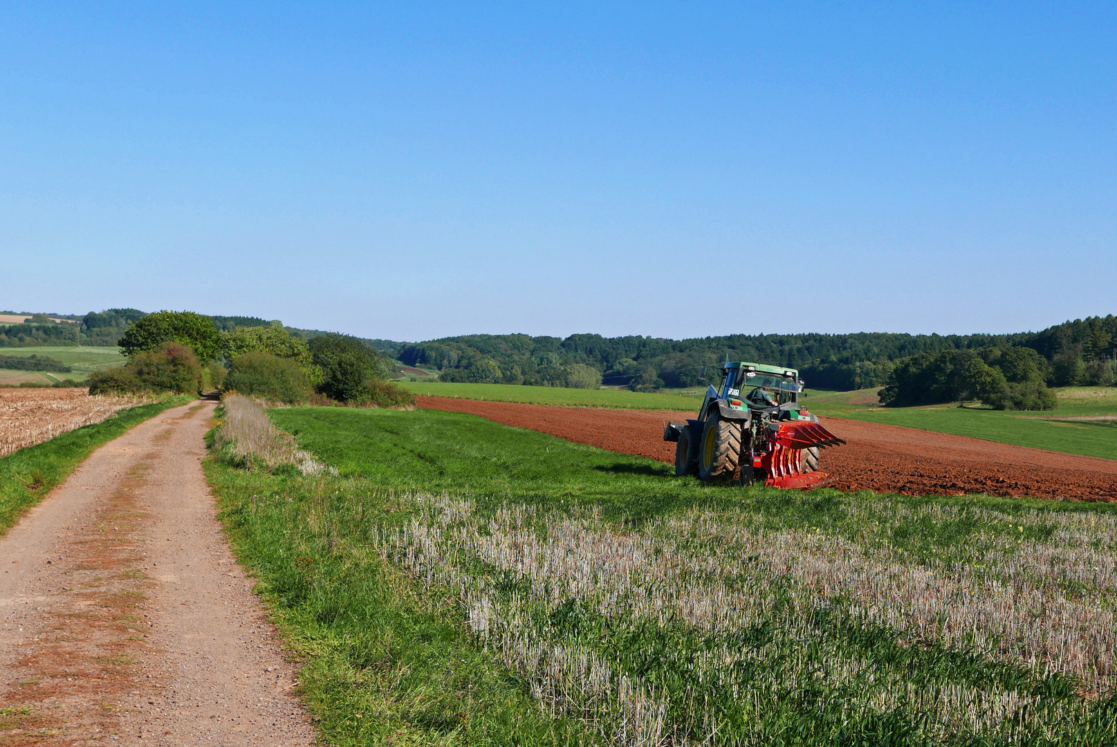 Feldarbeit 2015