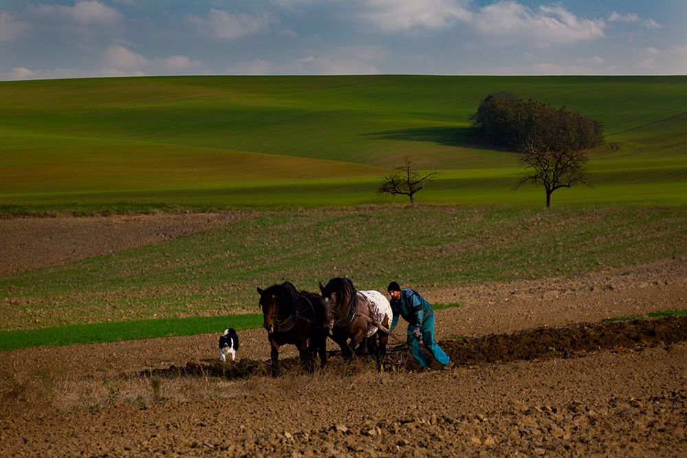 Feldarbeit