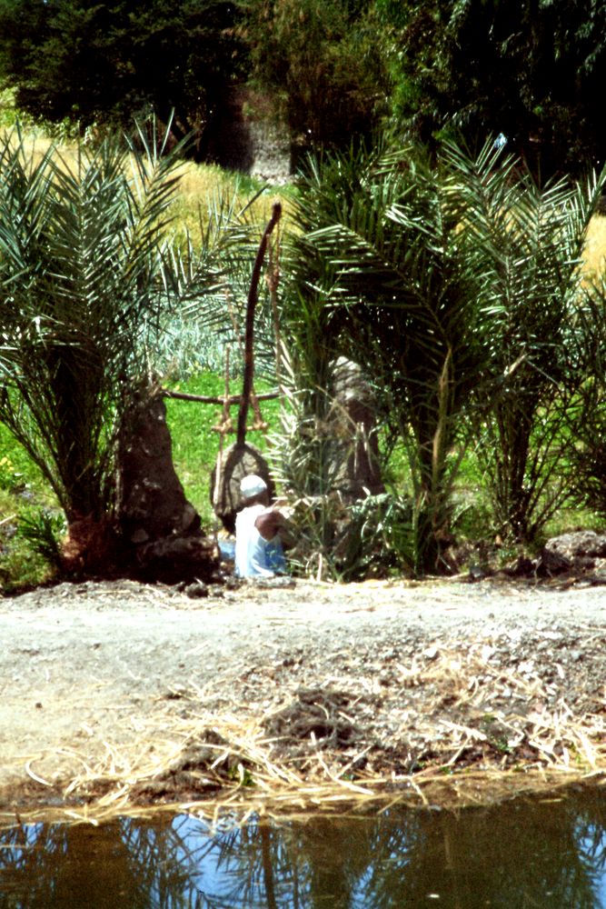 Feldarbeit - Ägypten 1978