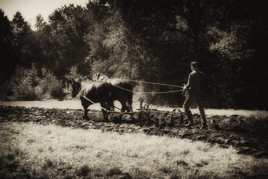 &quot;Feldarbeit&quot; Foto &amp; Bild erwachsene, menschen bei der