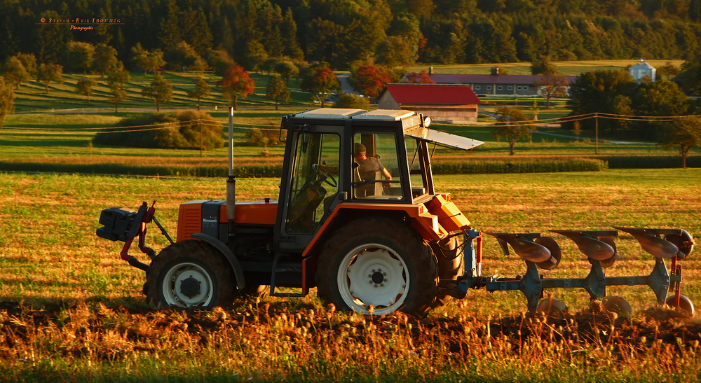 " Feldarbeit bei Dächingen "