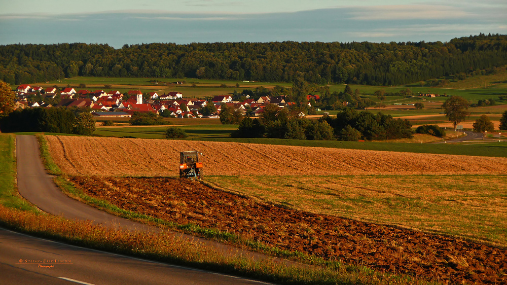 " Feldarbeit bei Dächingen "