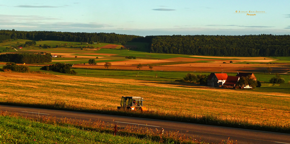 " Feldarbeit bei Dächingen "