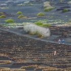 Feldarbeit  bei La Gerie 