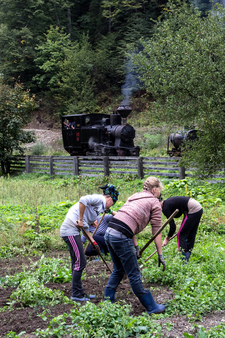 Feldarbeit