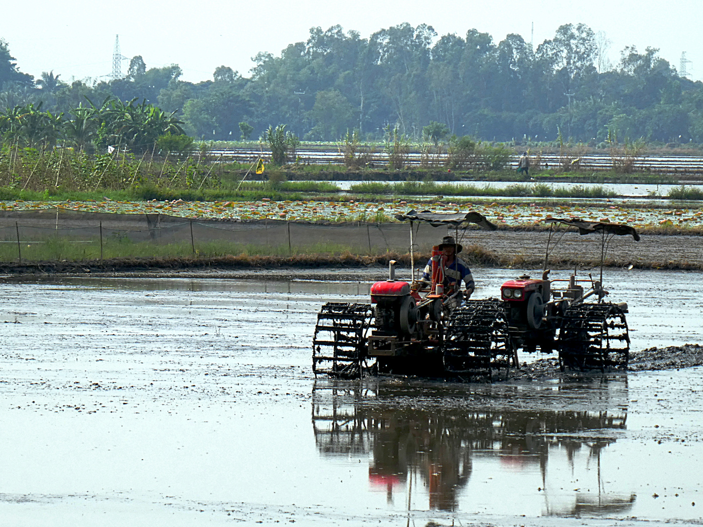 Feldarbeit im Mekong Delta