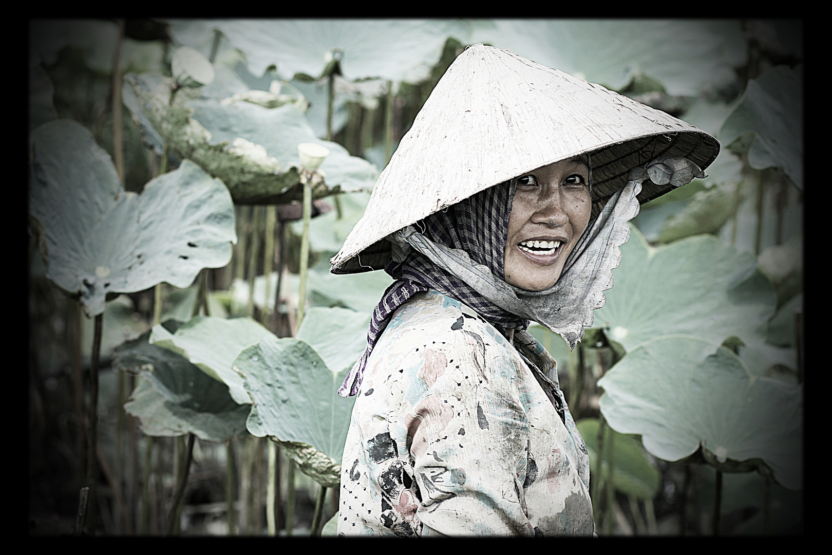 Feldarbeit im Mekong Delta