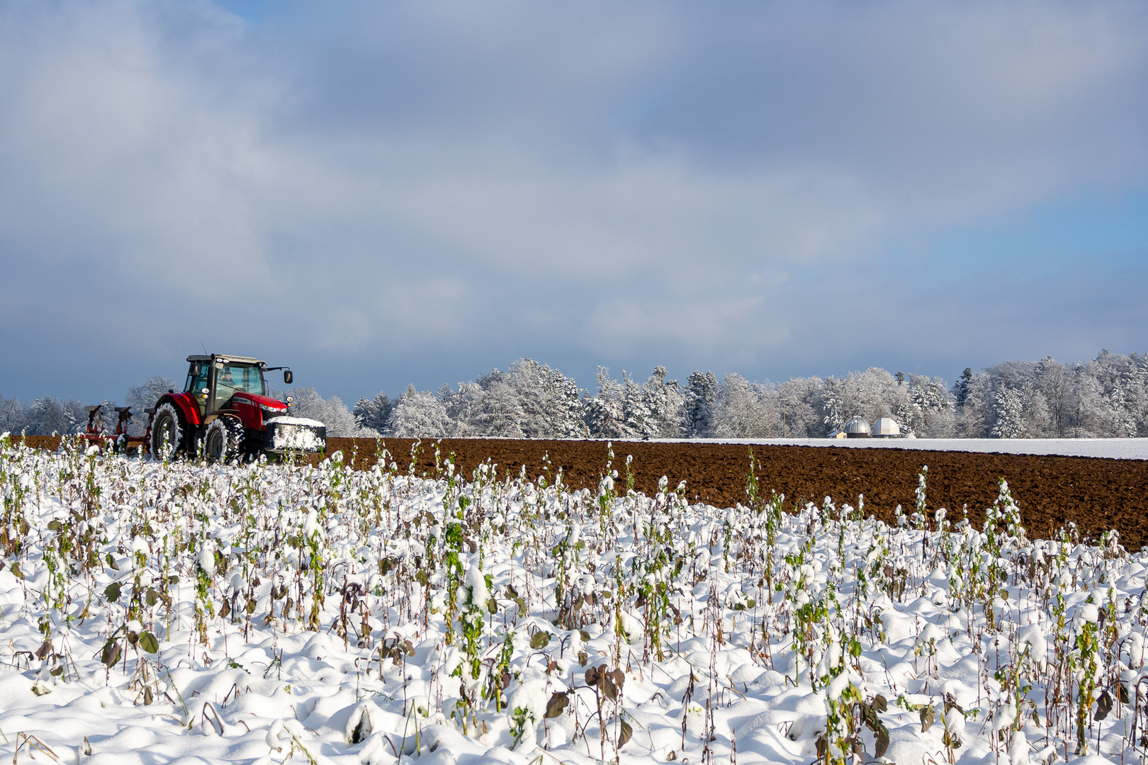 Feldarbeit im Winter