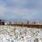 Feldarbeit im Winter