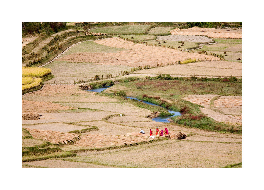 Feldarbeit in Kathmandu