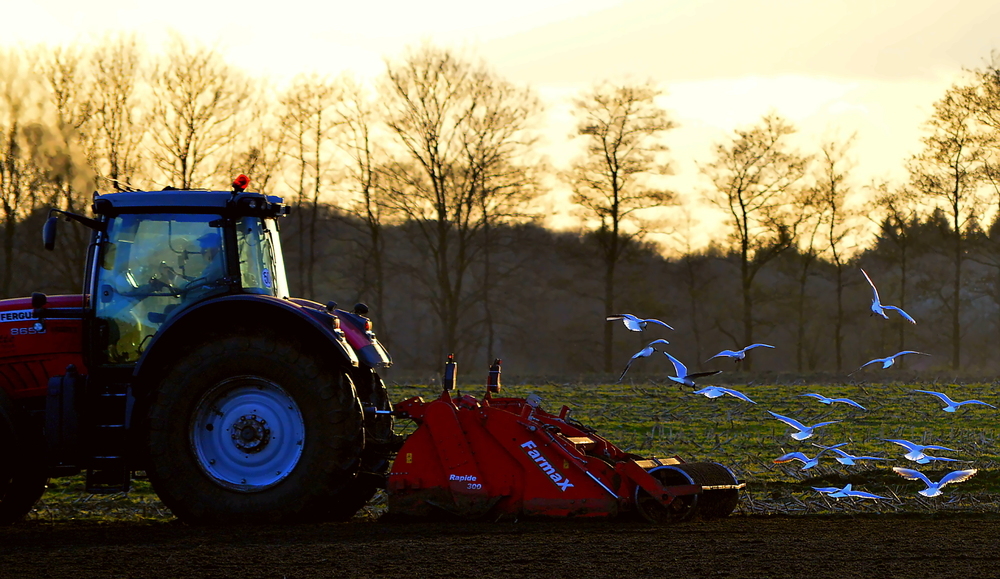 Feldarbeit mit der Spatenmaschine Farmax 