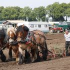 Feldarbeit wie früher