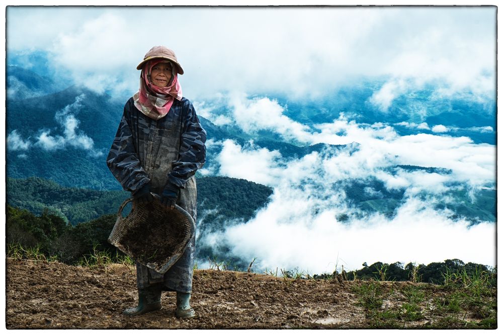 Feldarbeiten in den Gebirgen um Chiang Mai, Thailand