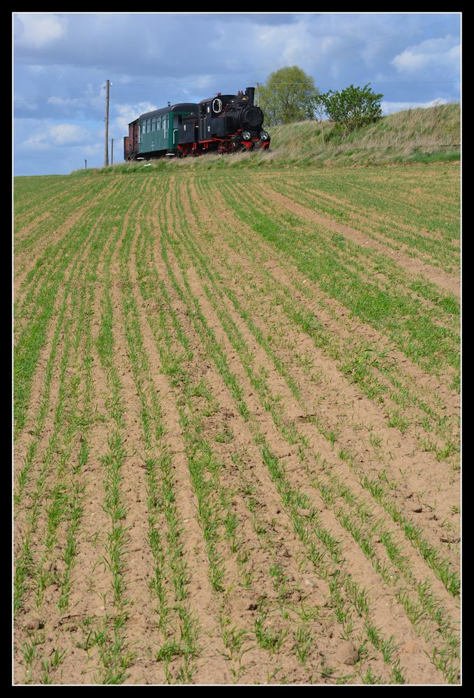 Feldbahn Foto & Bild schmalspurbahnen, eisenbahn, dampflok Bilder auf