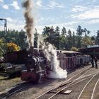 Feldbahn Grube Fortuna