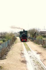 Feldbahn im Kleingarten