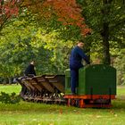 Feldbahn im Park