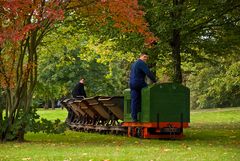 Feldbahn im Park