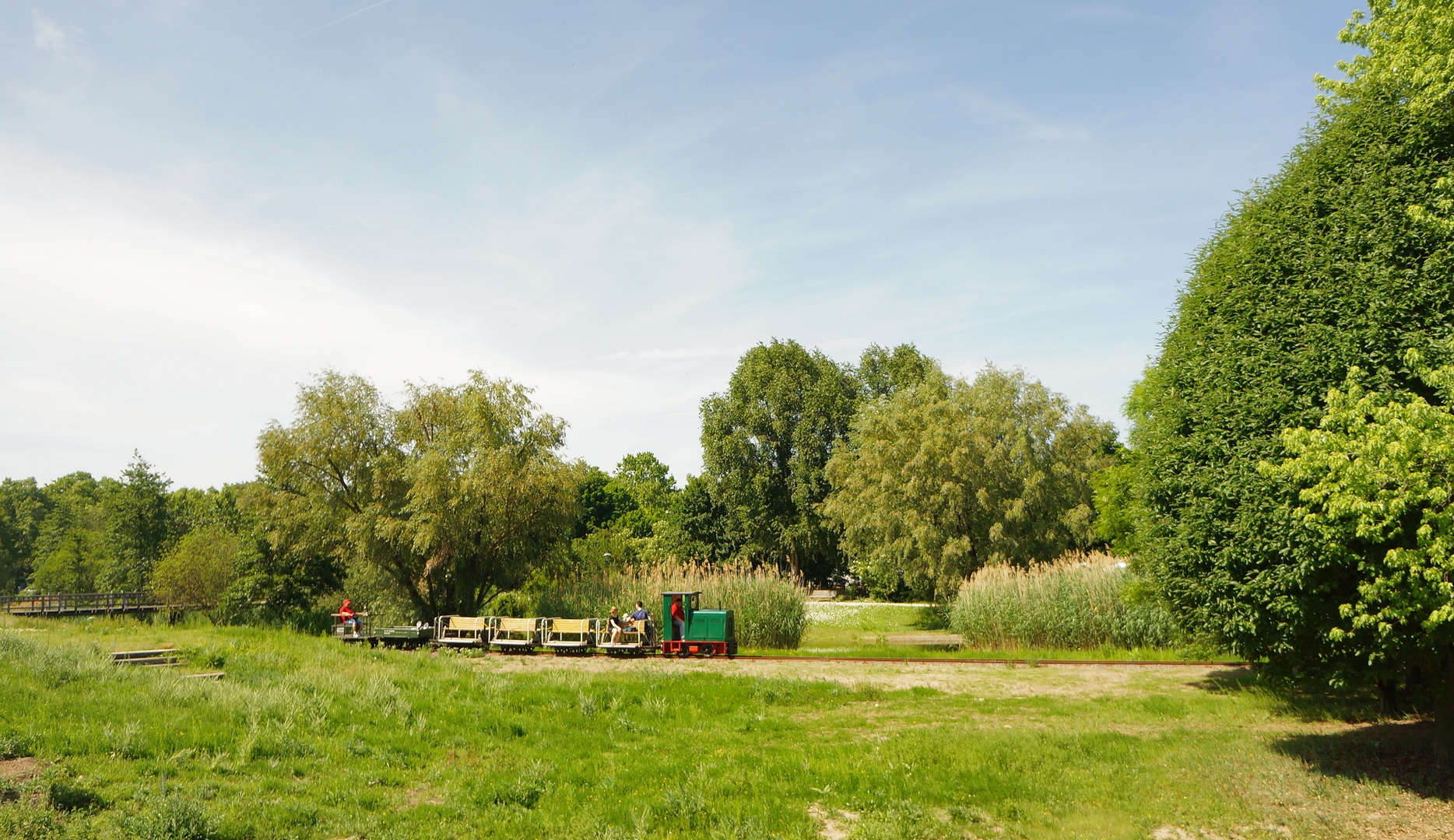 Feldbahn im Sommer