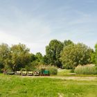 Feldbahn im Sommer