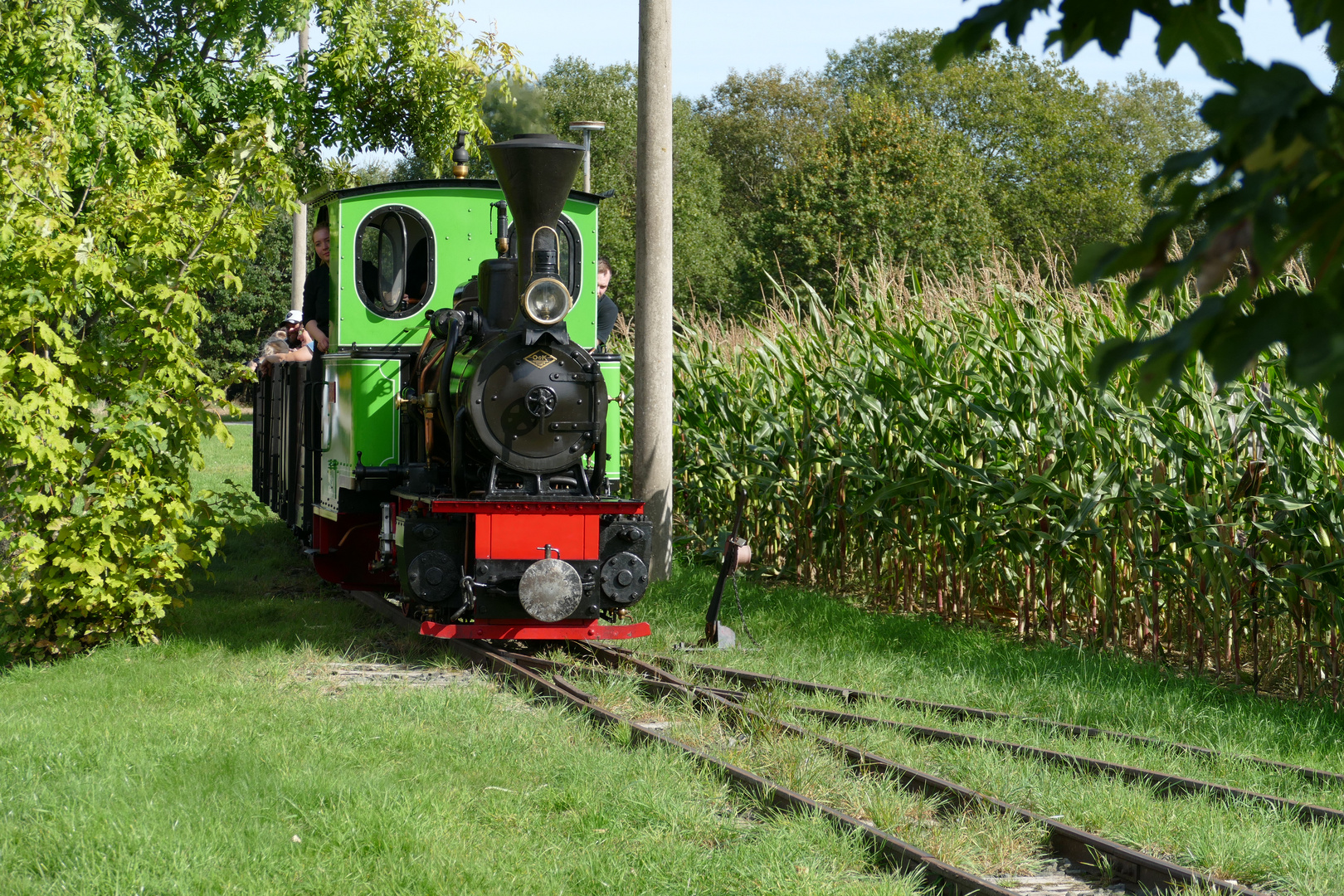 Feldbahndampf