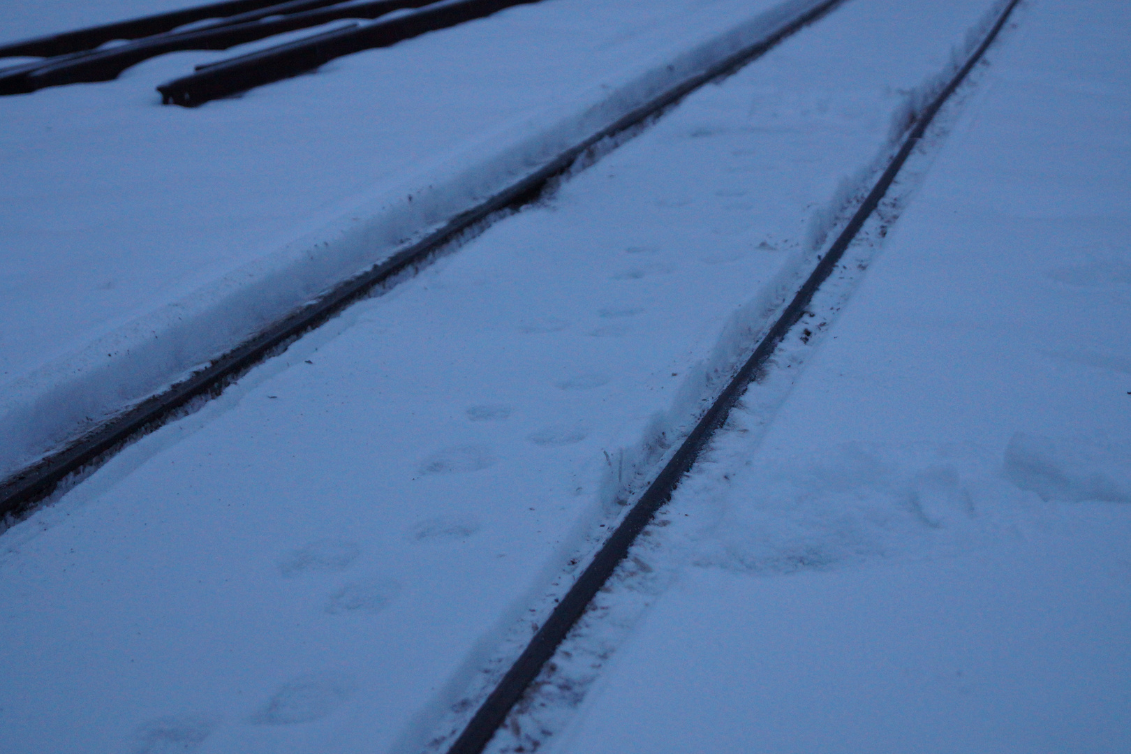 Feldbahnschienen im Schnee