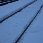 Feldbahnschienen im Schnee