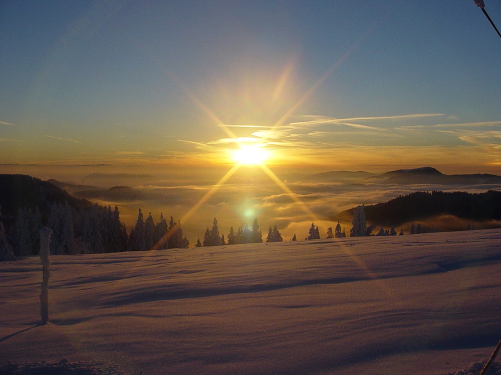 Feldberg