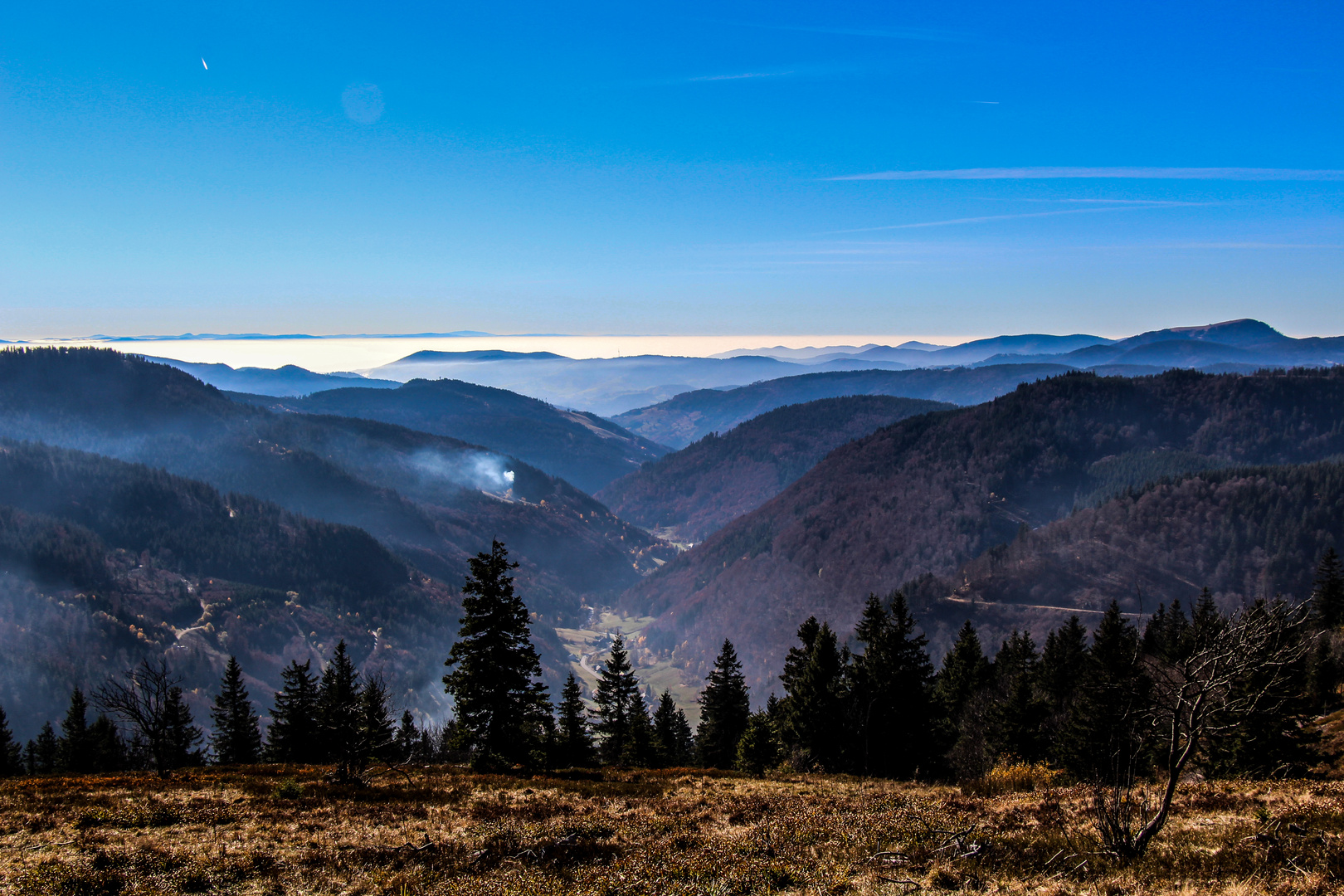 Feldberg