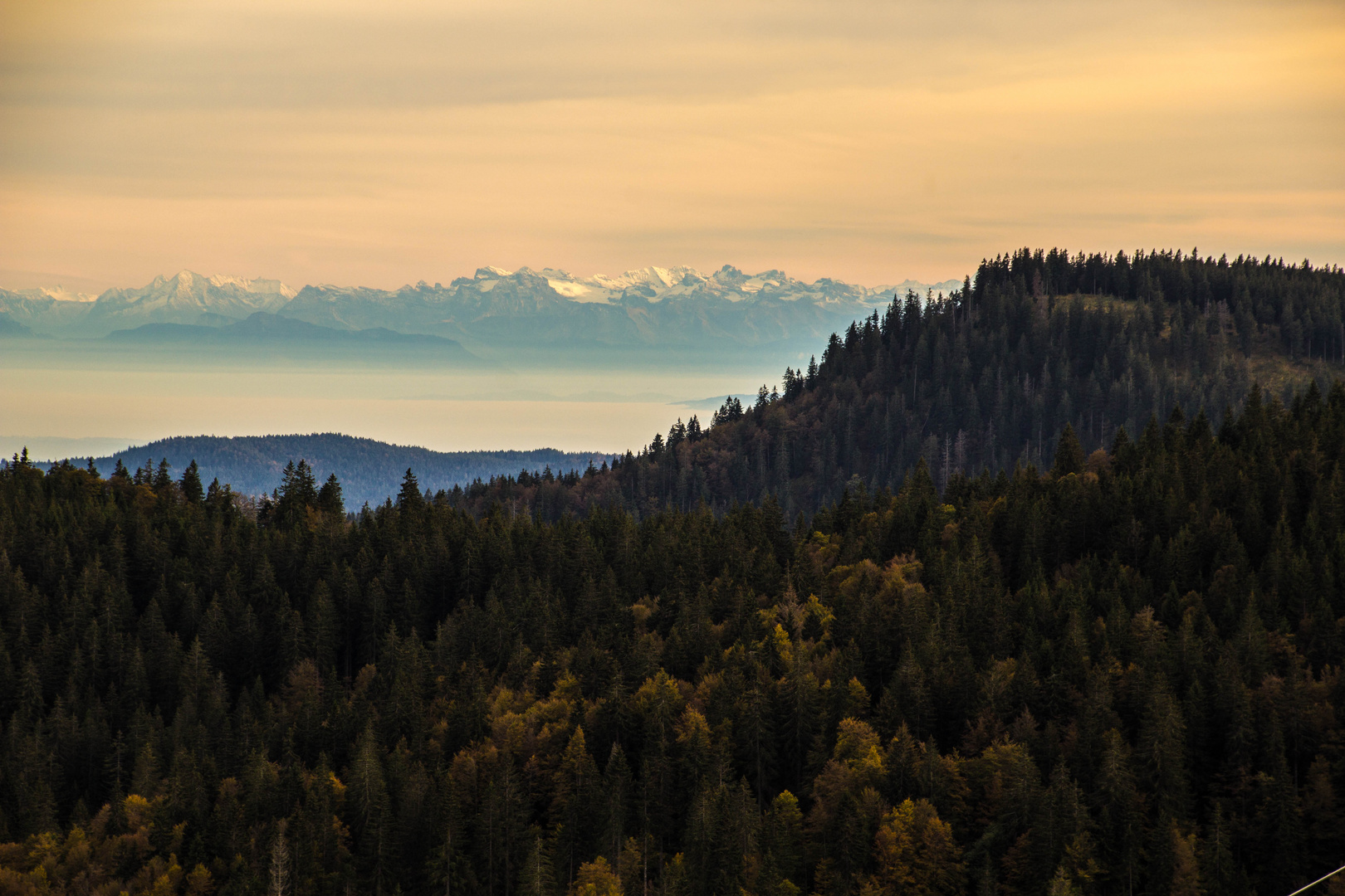 Feldberg