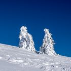 Feldberg