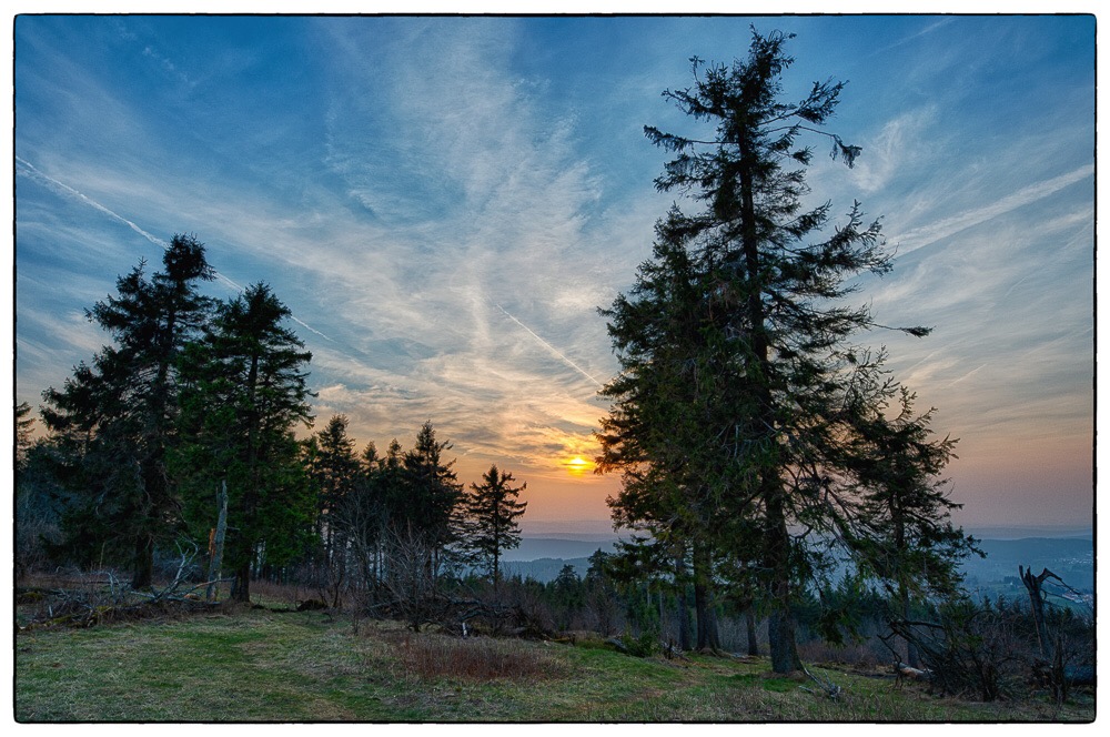 Feldberg