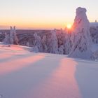 ** Feldberg **  