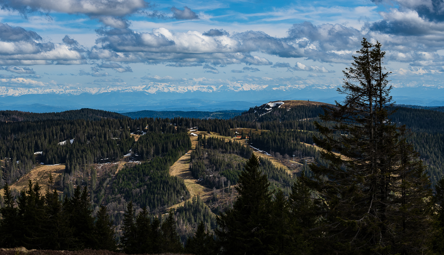 Feldberg