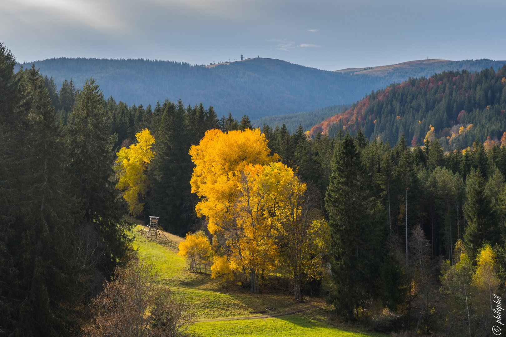 Feldberg