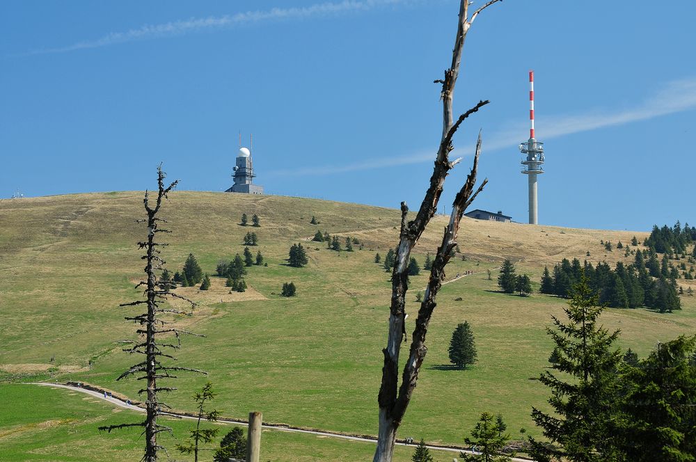 Feldberg