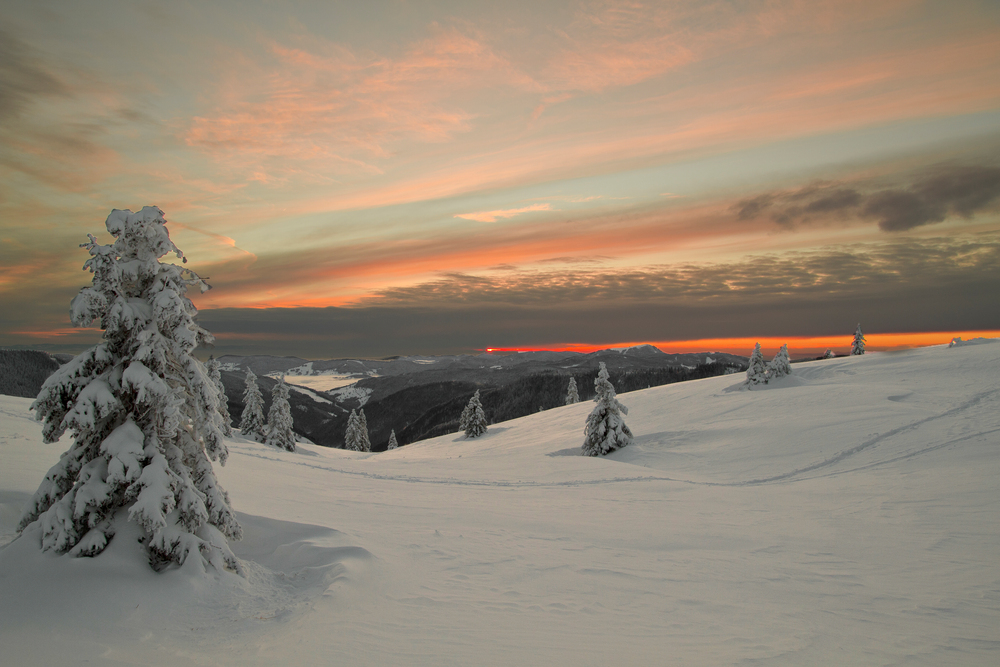 Feldberg