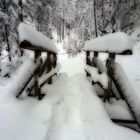 Feldberg-Aufstieg