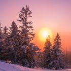 Feldberg Ausflug 