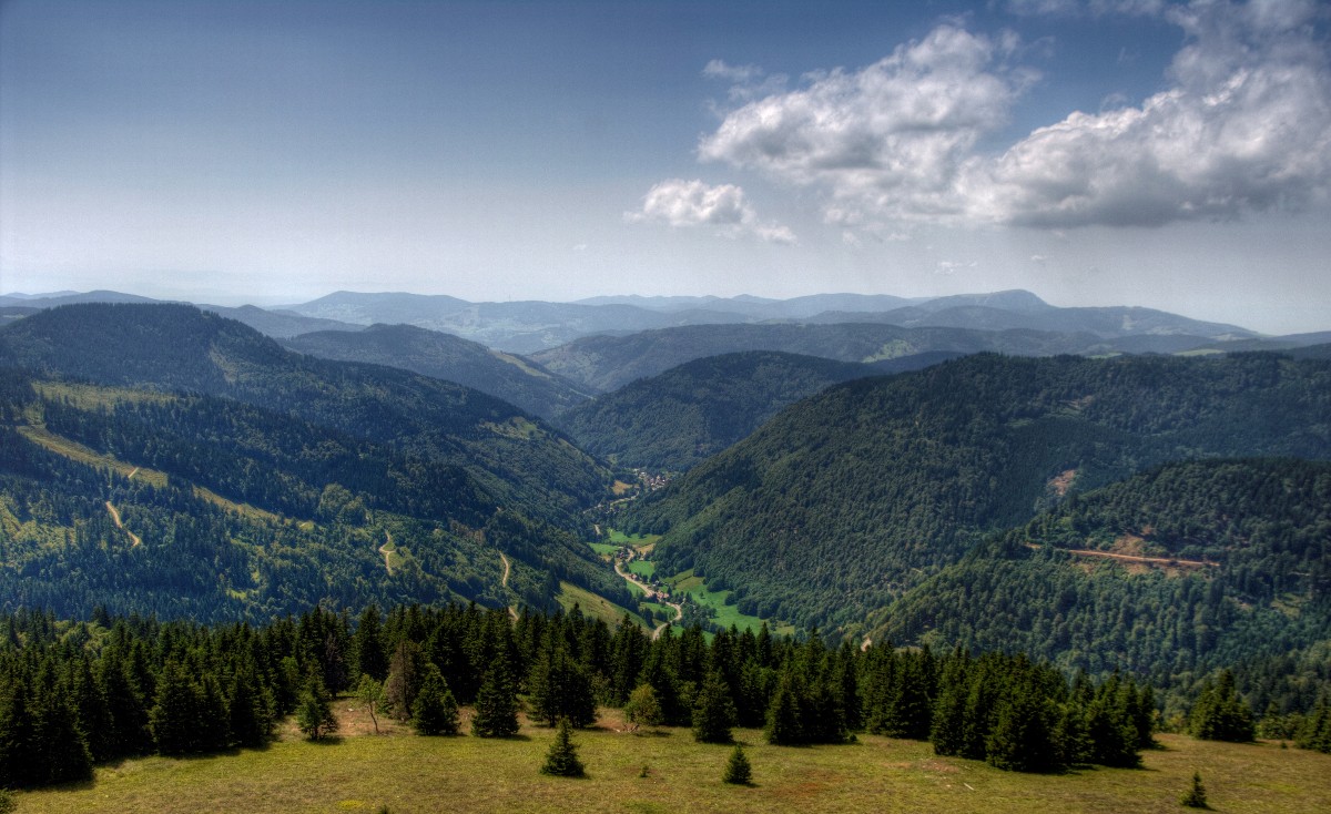 Feldberg. Blick ins Tal vom Aussichtsturm.