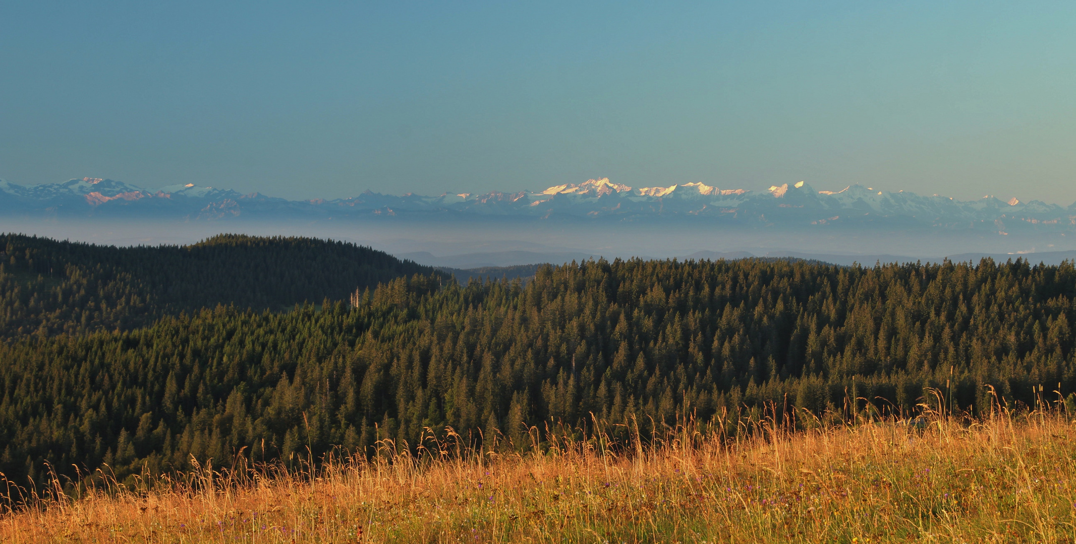 Feldberg