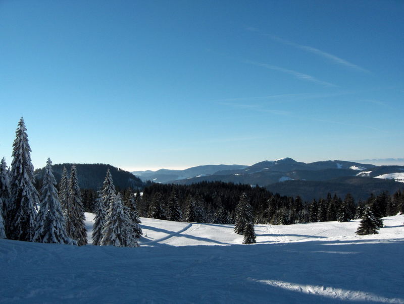 Feldberg