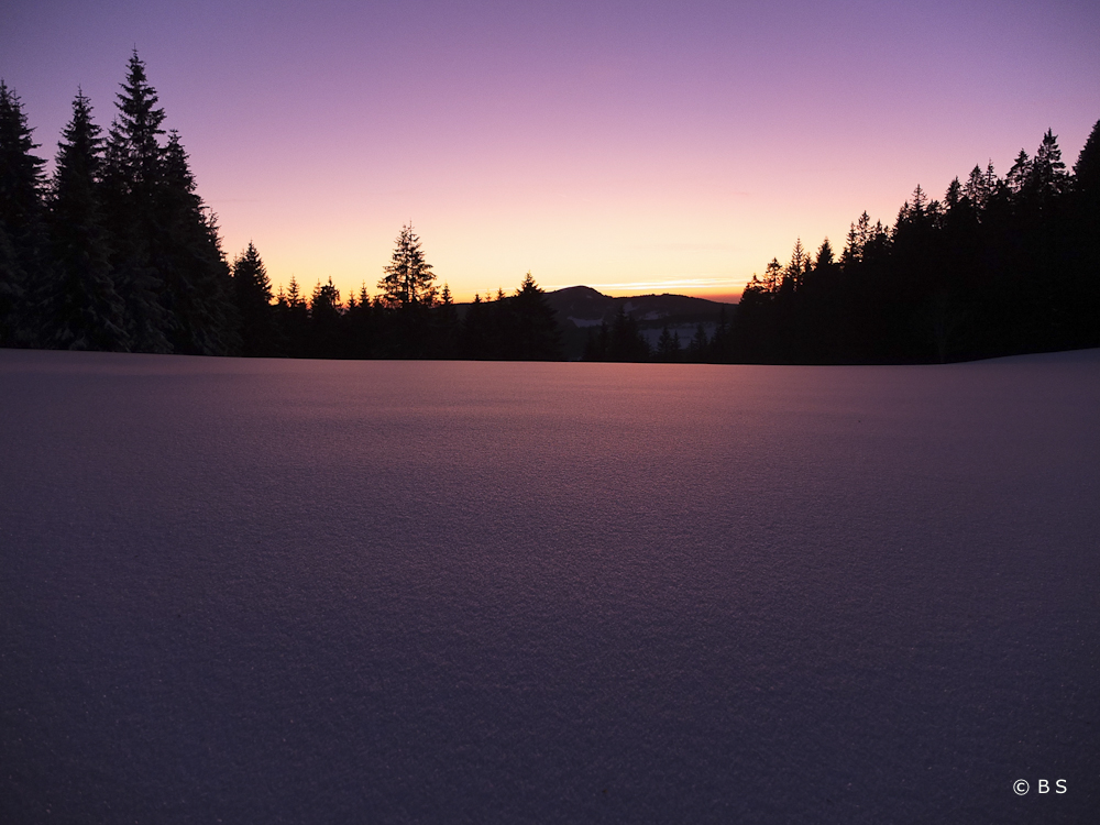 Feldberg