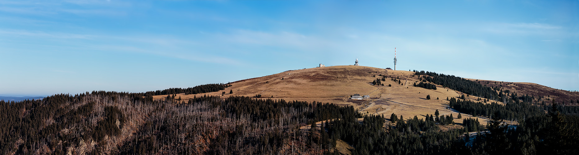 Feldberg